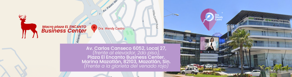 mapa ubicacion wendy
